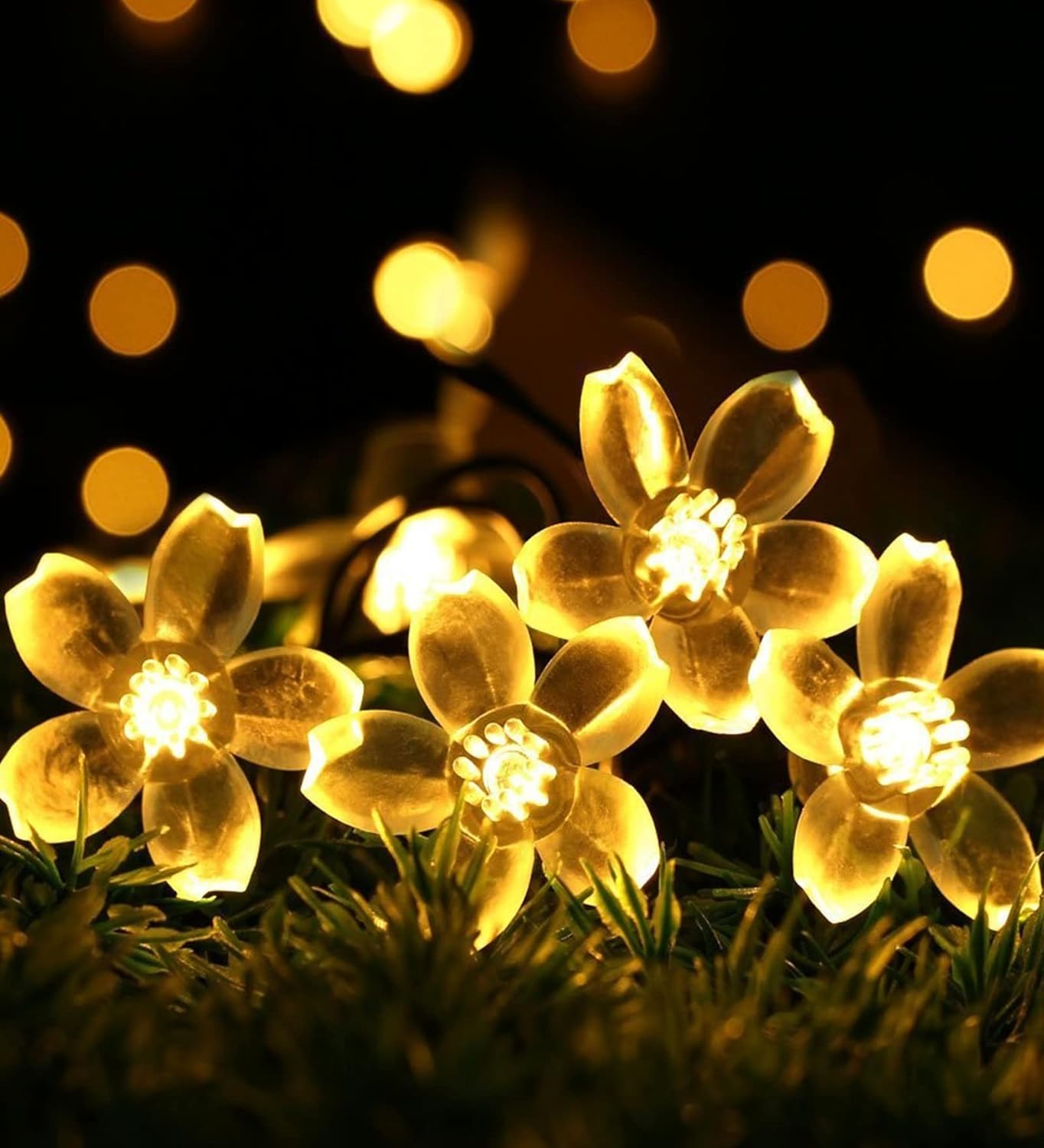 Yellow flowers glowing in darkness, creating a beautiful contrast of colors.