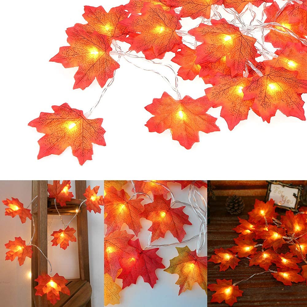 Autumn leaves in red and orange on white