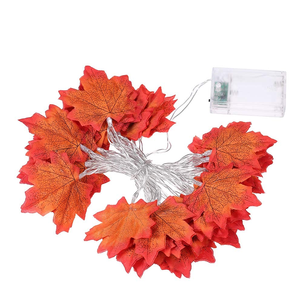 Red maple leaves on white background.
