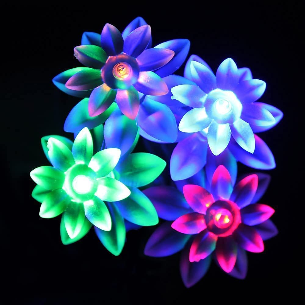 A vase holding a flower with colorful lights.