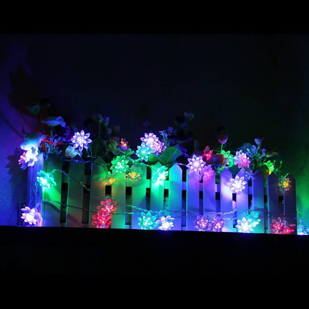 Flower in a vase illuminated by colorful lights.