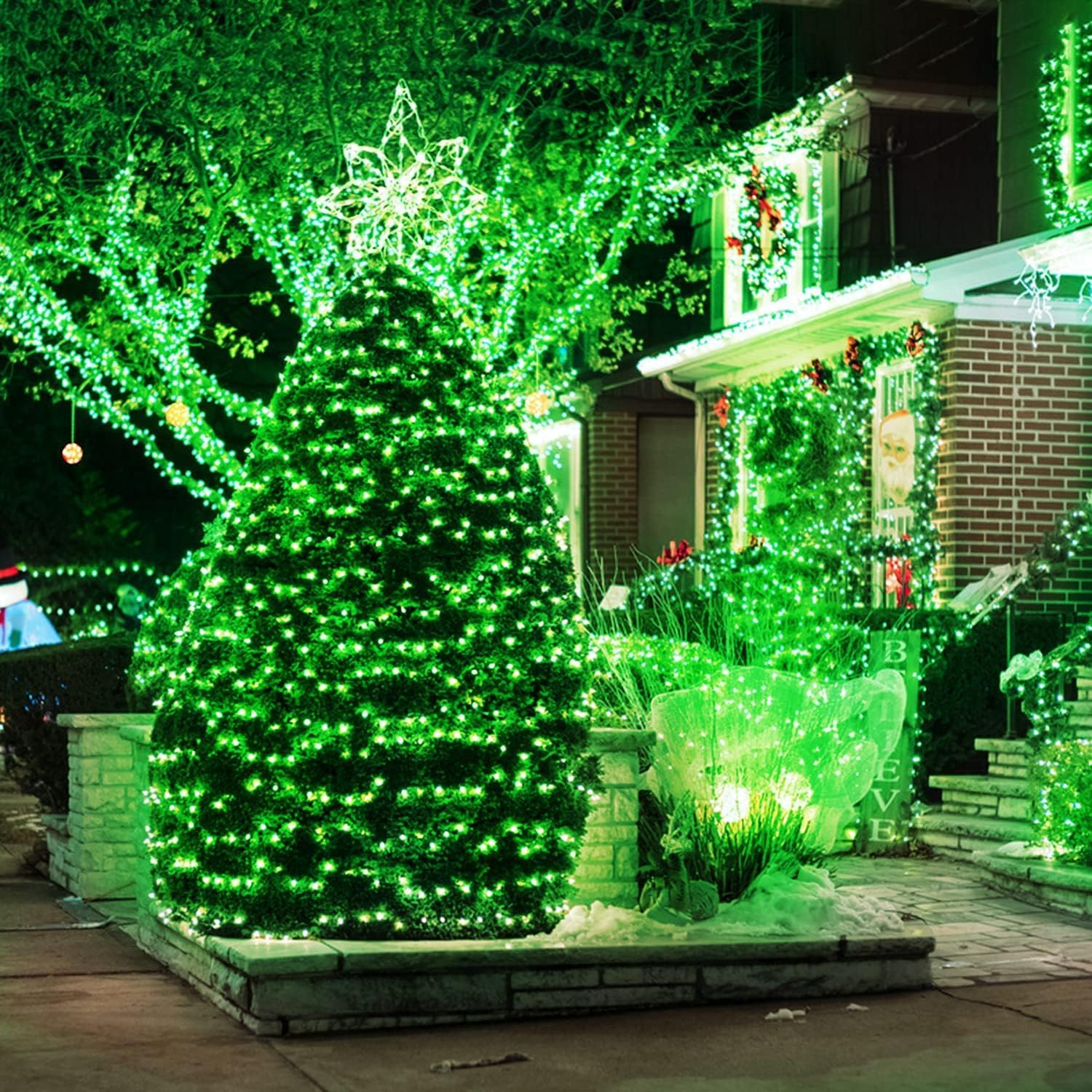 A beautifully lit green Christmas tree.