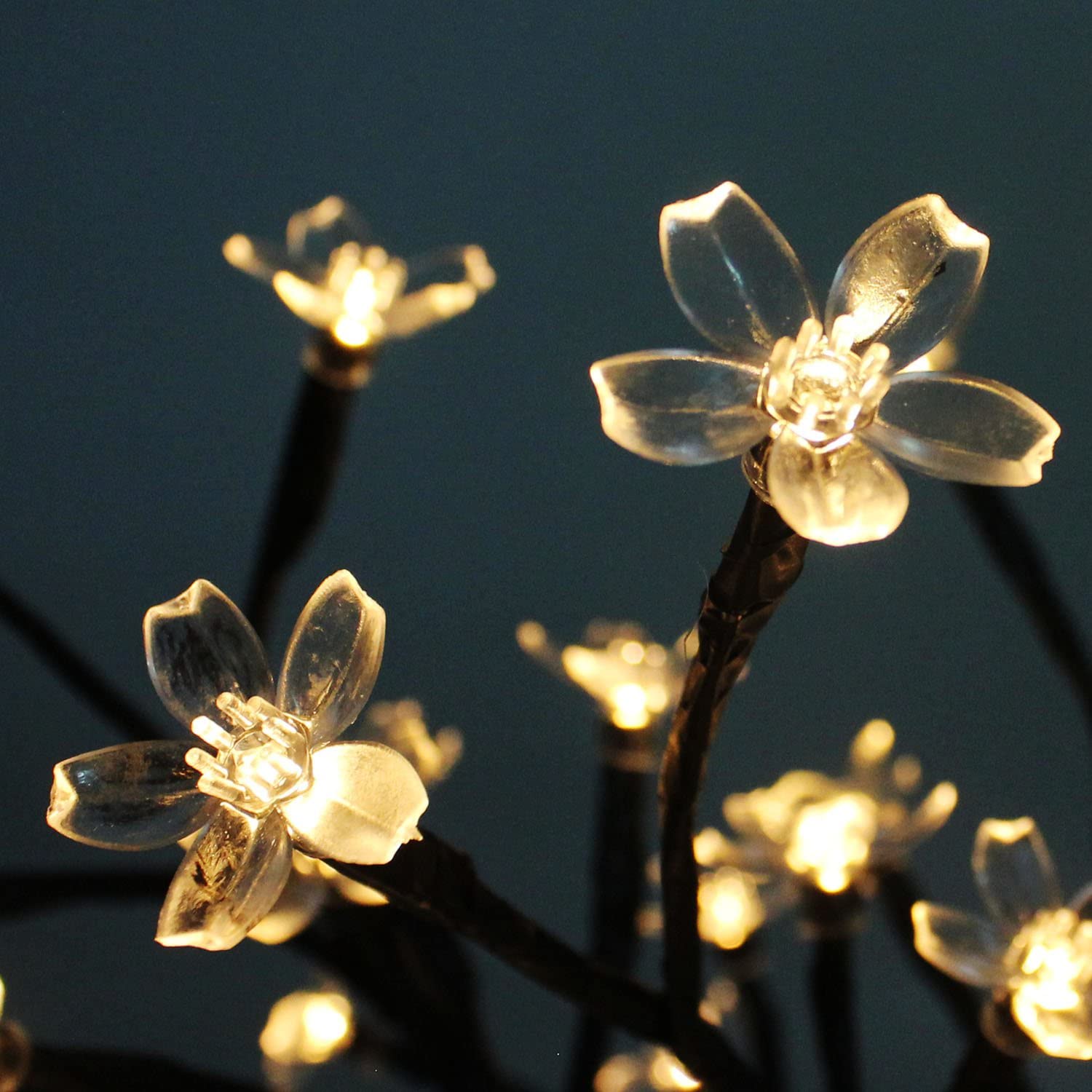 Clear flowers with glowing lights, creating a magical and enchanting atmosphere