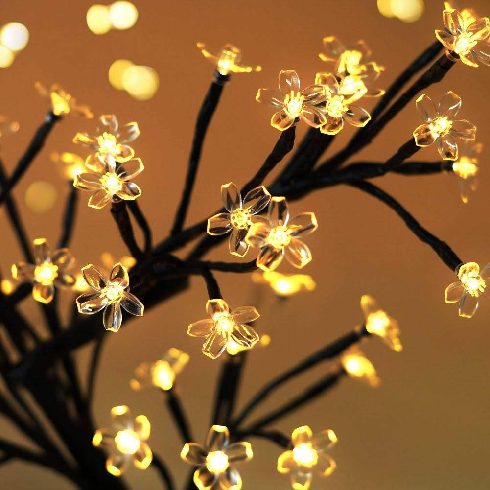 Tree with flowers shining under soft light.