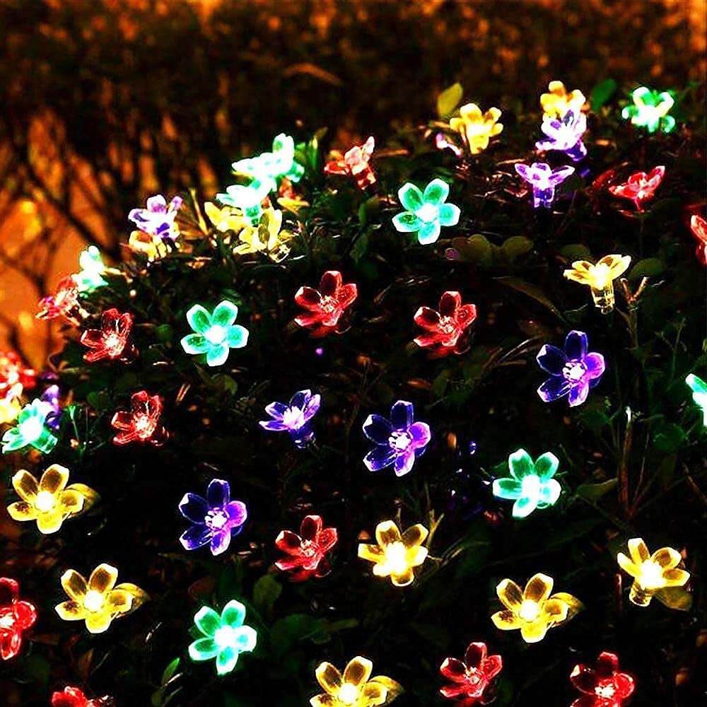 A vibrant bush adorned with colorful flowers, illuminated beautifully against the night sky.