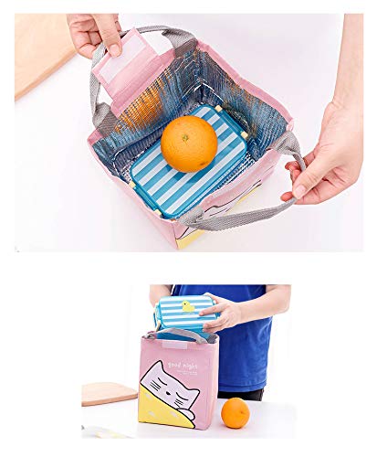 heat insulated lunch bag inside and outside view