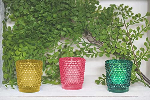 Three colorful glass vases complemented by green foliage.