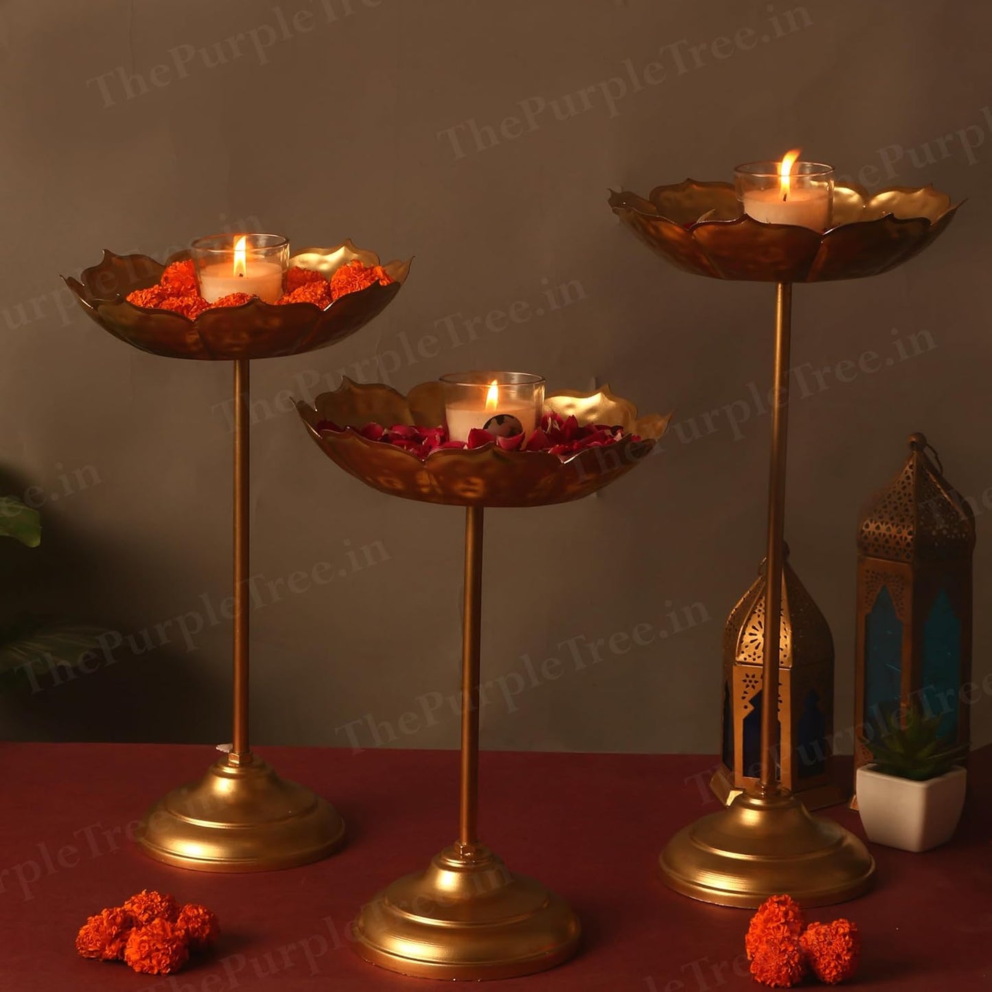  Gold flower stands displaying beautiful blooms in full bloom.